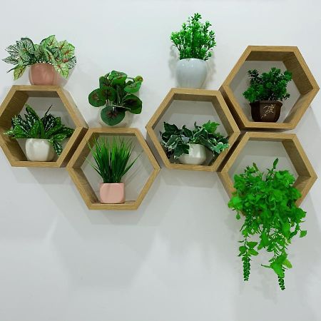 Bee Homestay Туй Хоа Екстериор снимка